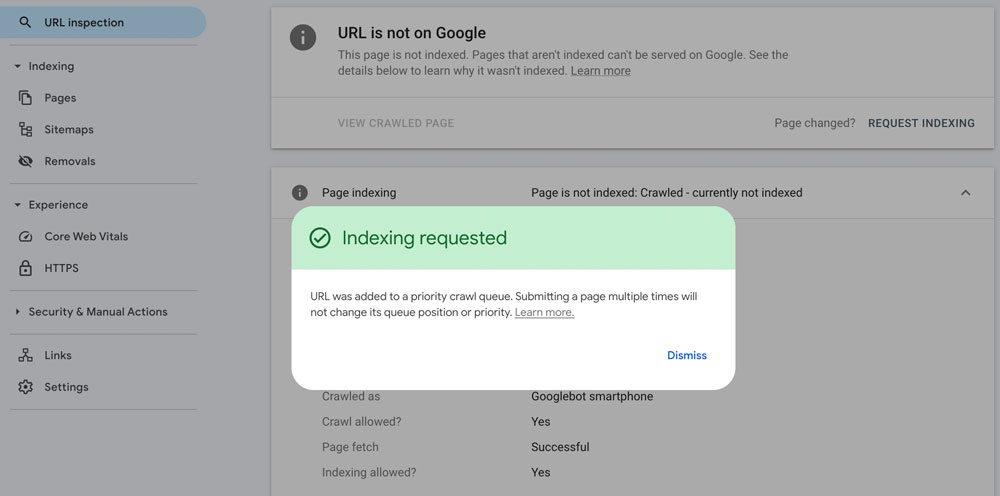 Google indexing manual request