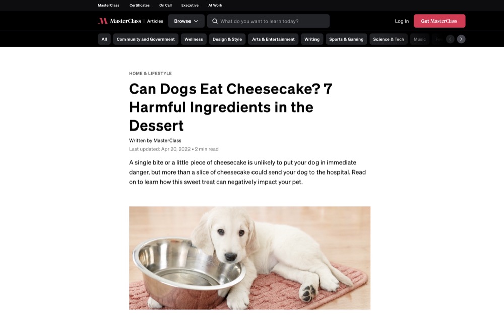 Masterclass blog example